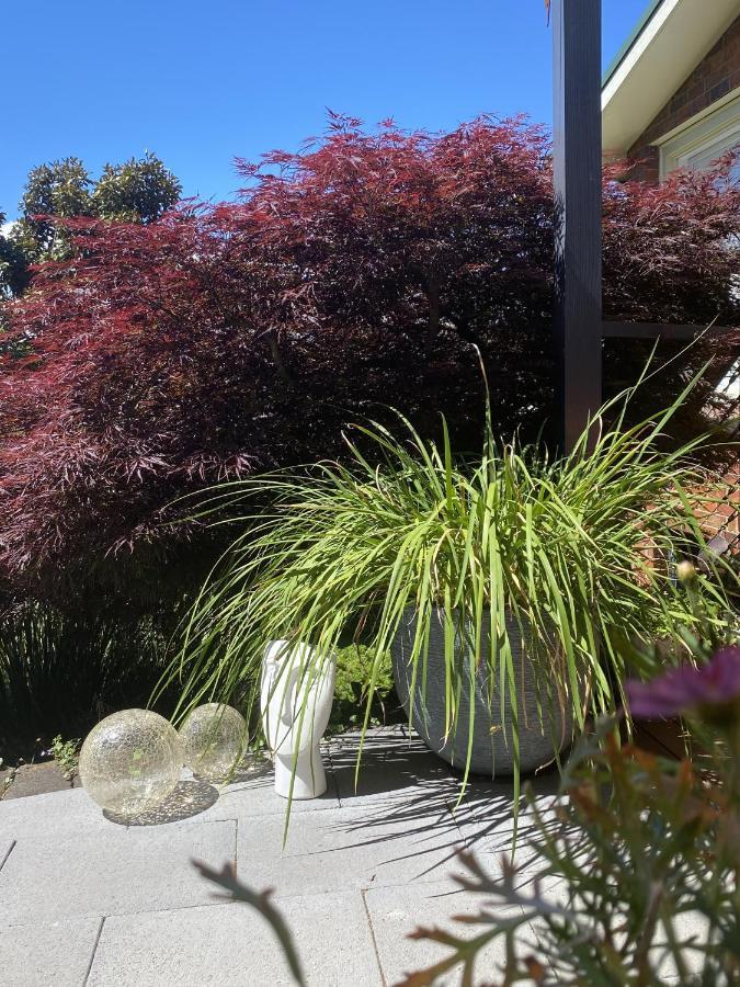 Soul Vie Stay Launceston Exterior foto